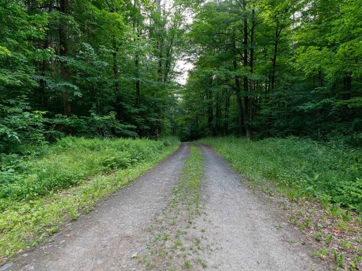 Truck Trail 2 trail photo