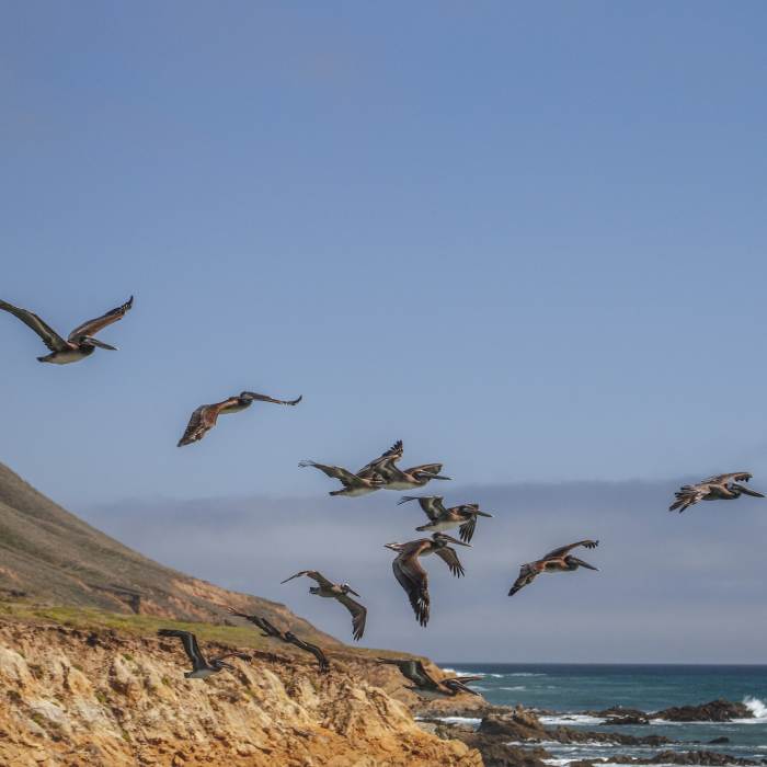 Near Headlands Trail