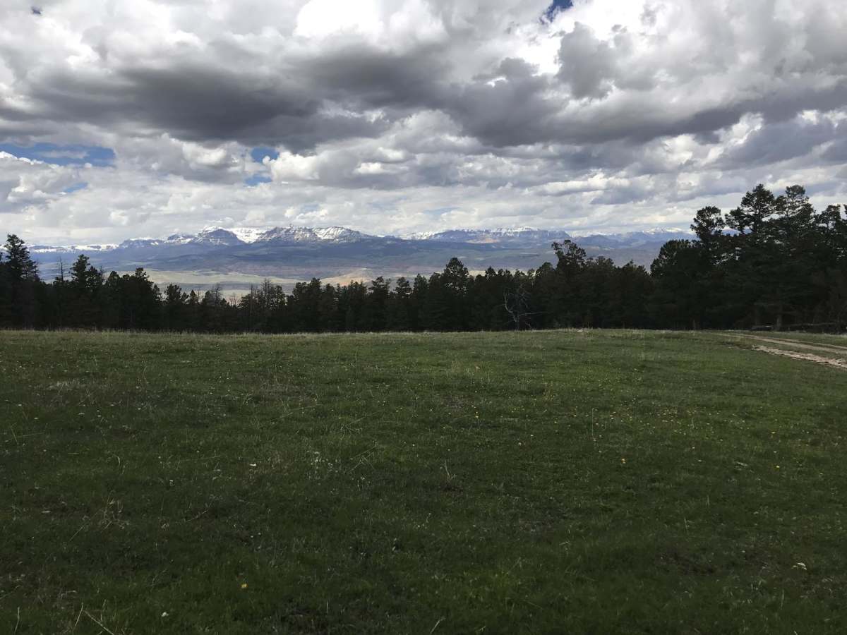 554 Wildcat and 528 Geyser Creek photo 5
