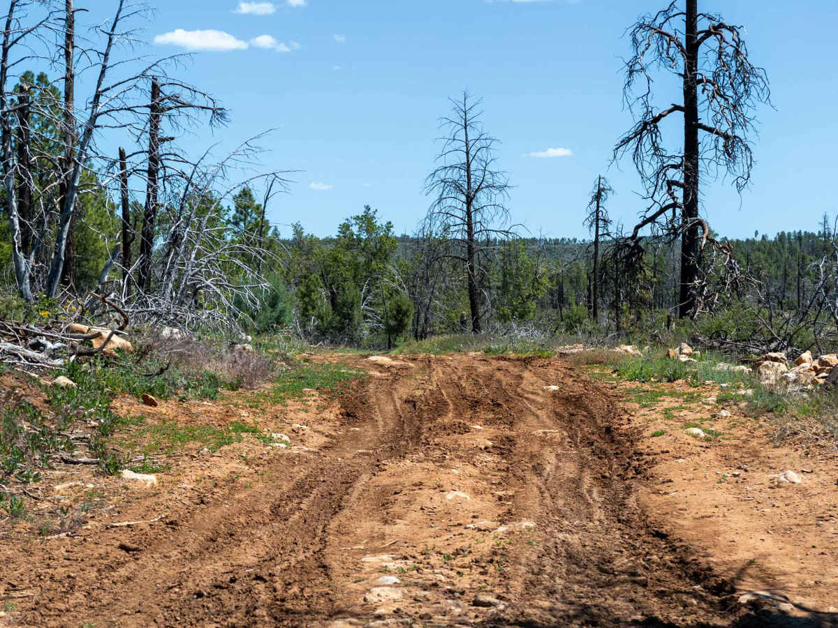 Bunker Ridge - FS 538B photo 3