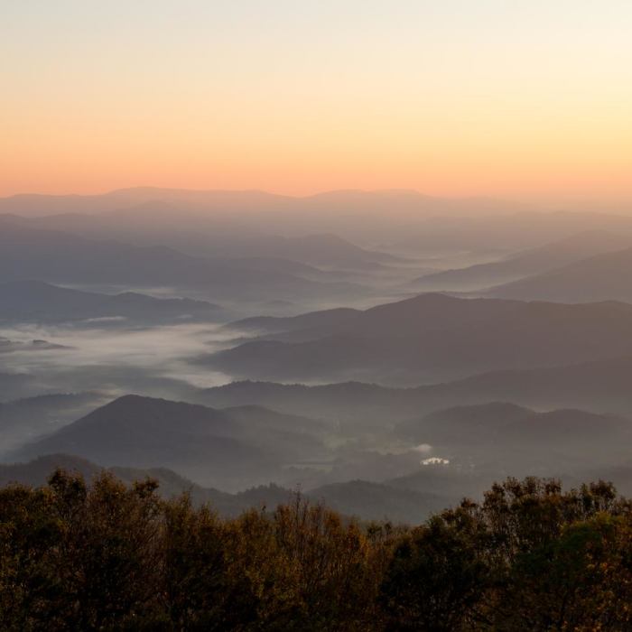 Near Brasstown Bald