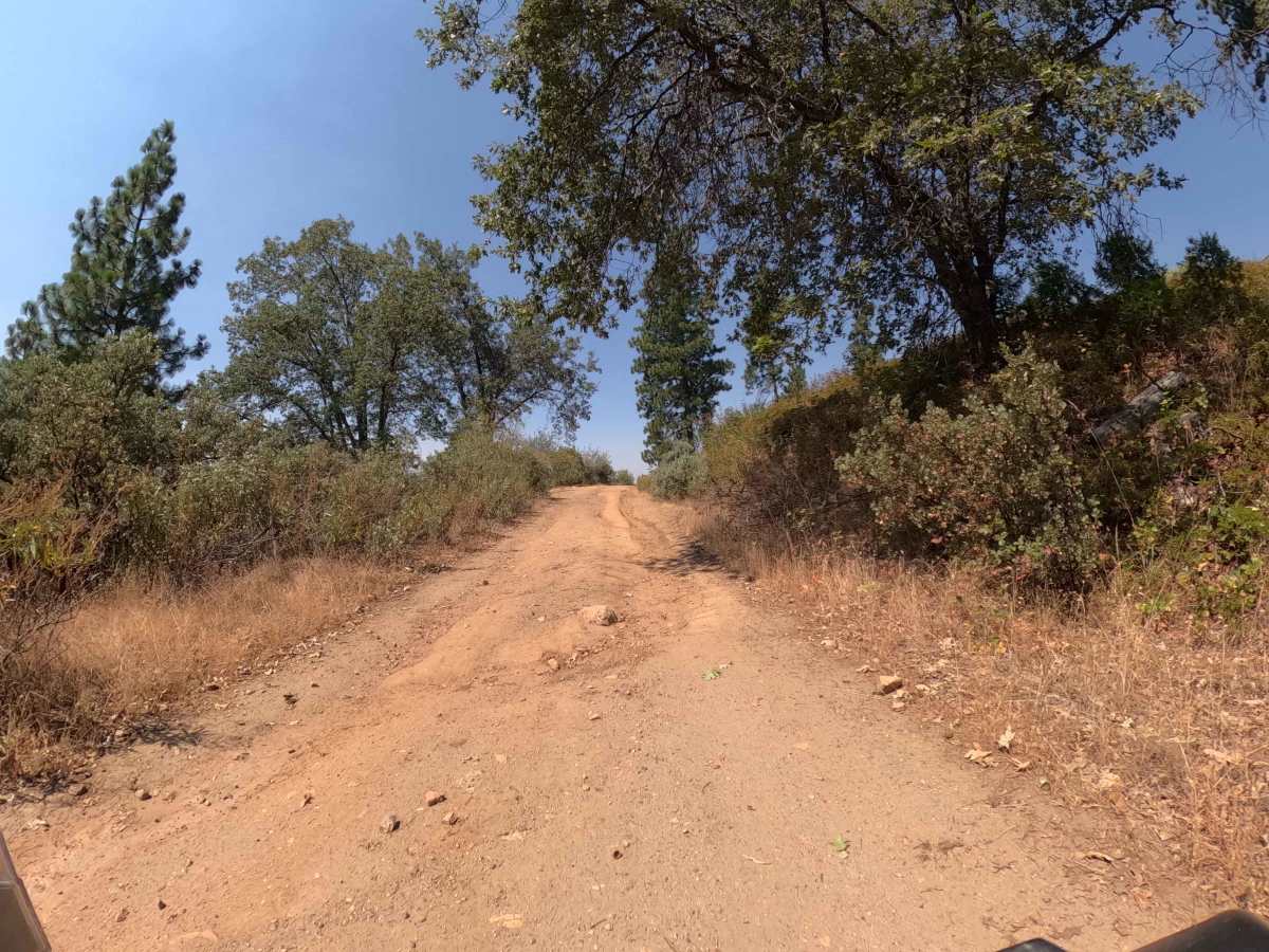 Sonny Meadow - FS 5S016 trail photo