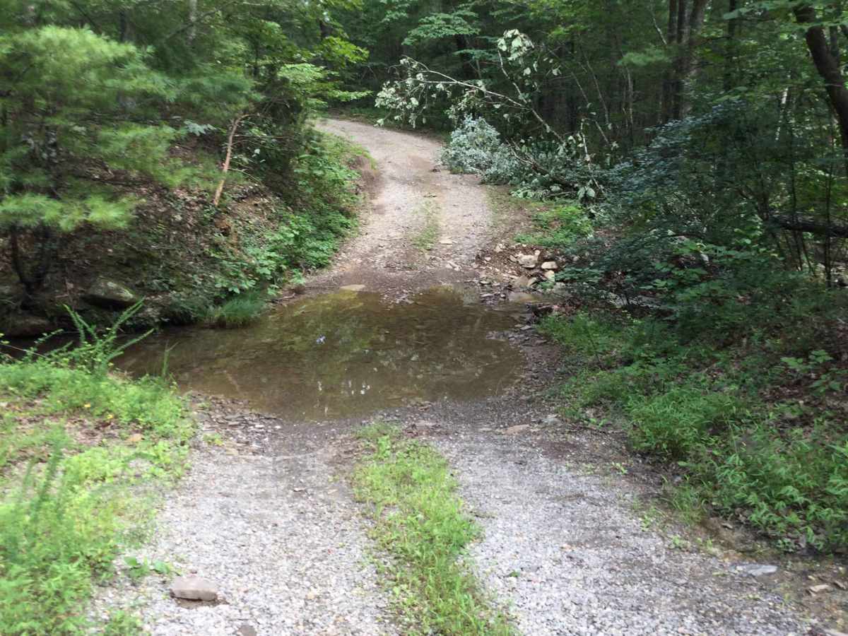 Wildlife Road - FS 224 trail photo