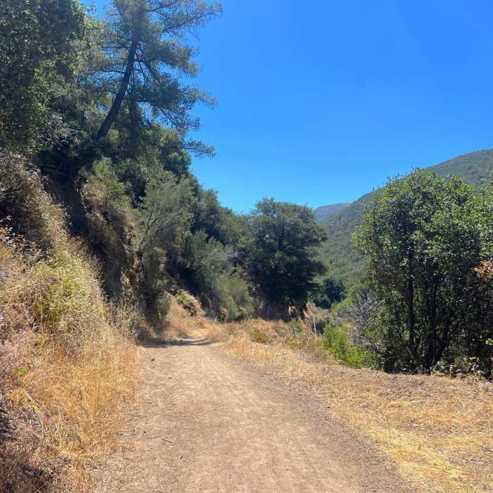 Near Grizzly Flat to Mount Lukens Near Grizzly Flat to Mount Lukens