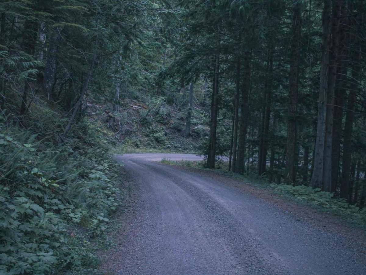 Patterson Mountain photo 3