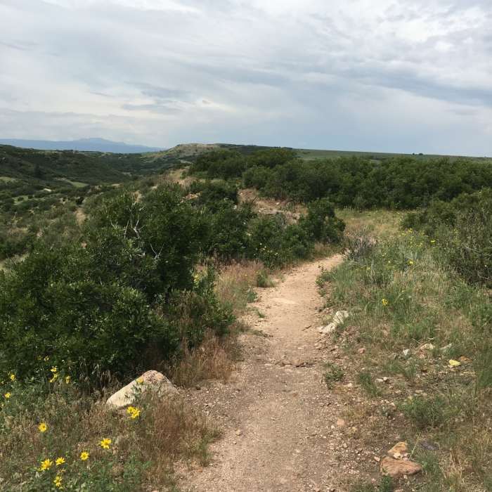 Near Gold Loop