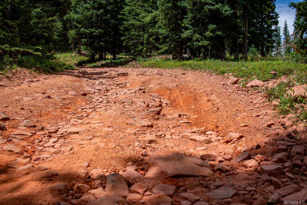 Red Table Road