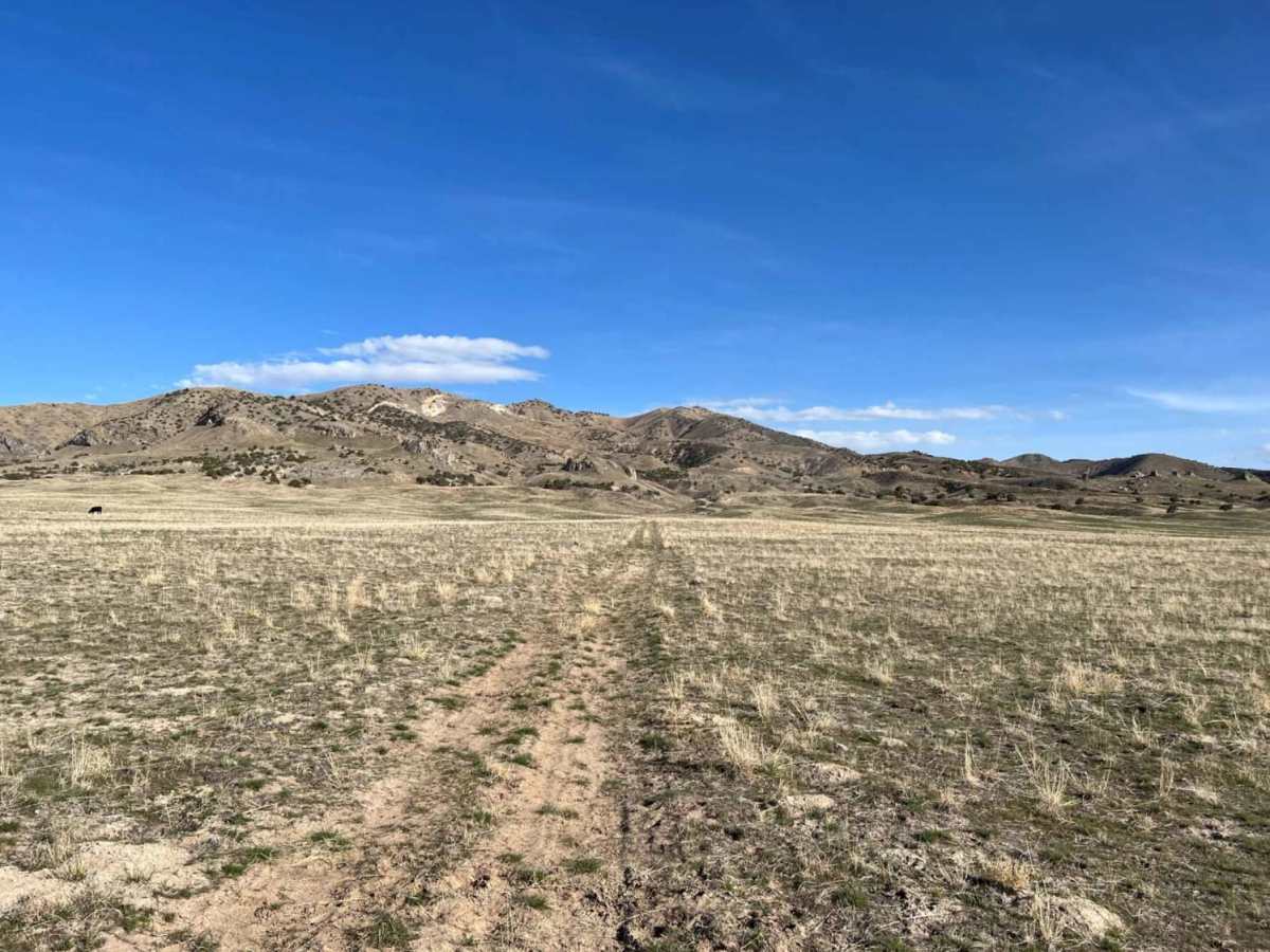 Mining Road photo 2