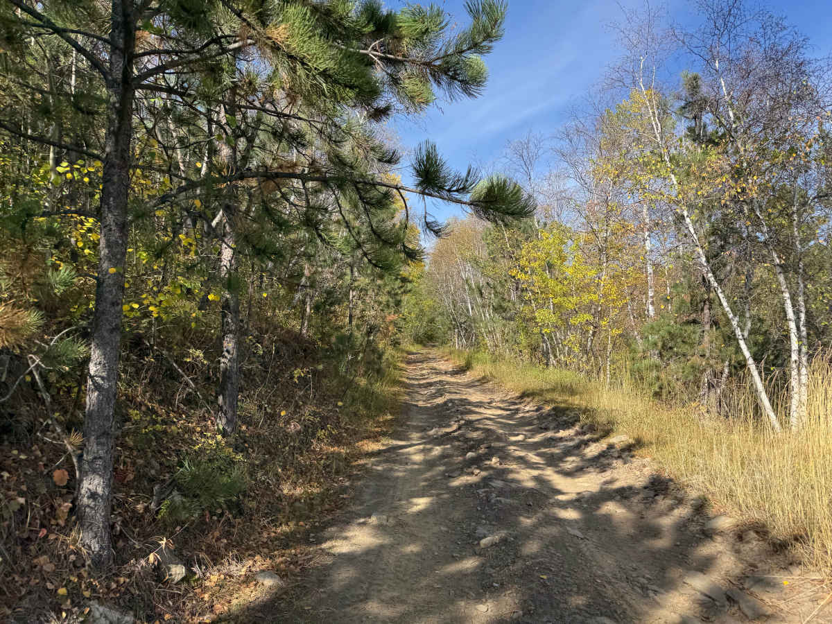 Newton 24/25 trail photo