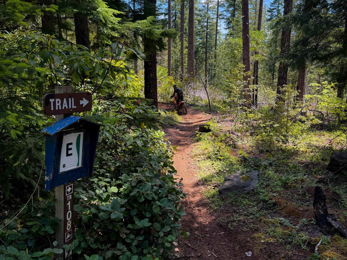 108 (Single-Track) trail photo
