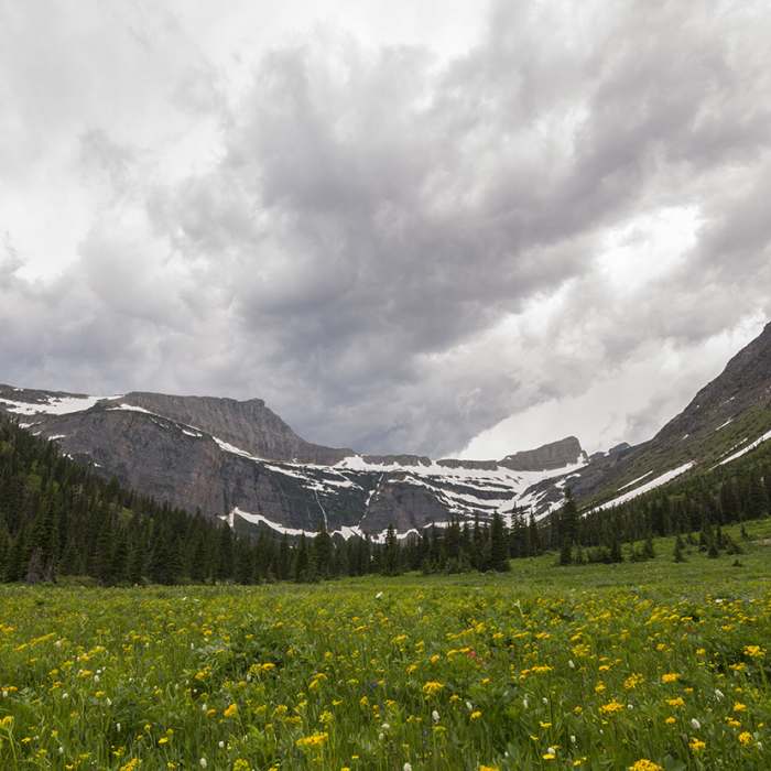 Near Medicine Grizzly Trail