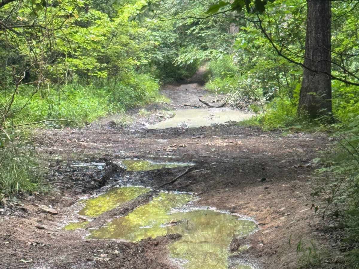 Trail 88 photo 5