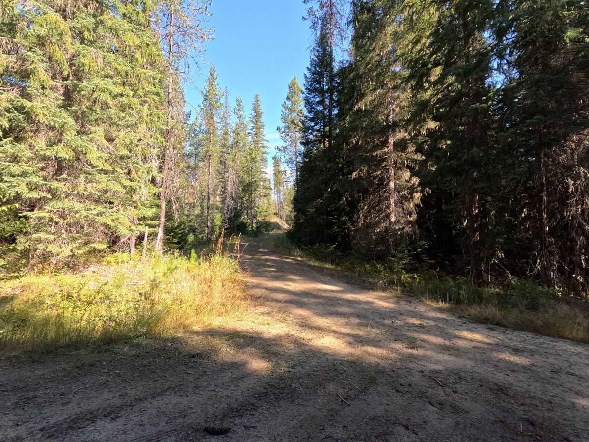 Klahowya Creek A - FS 1075A trail photo