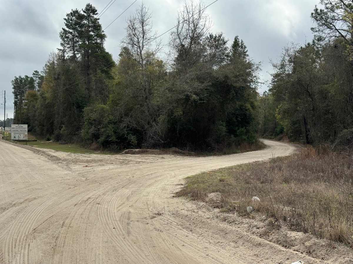 Fishing Road photo 2