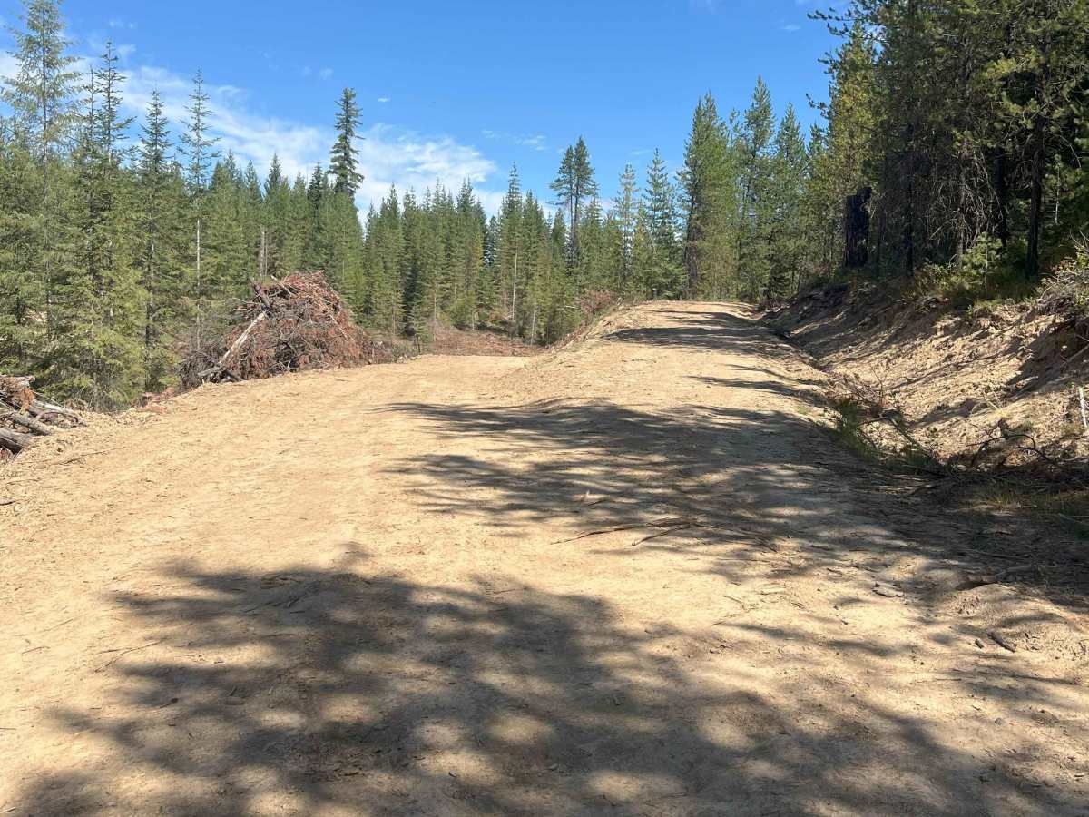 New Logging Road photo 4