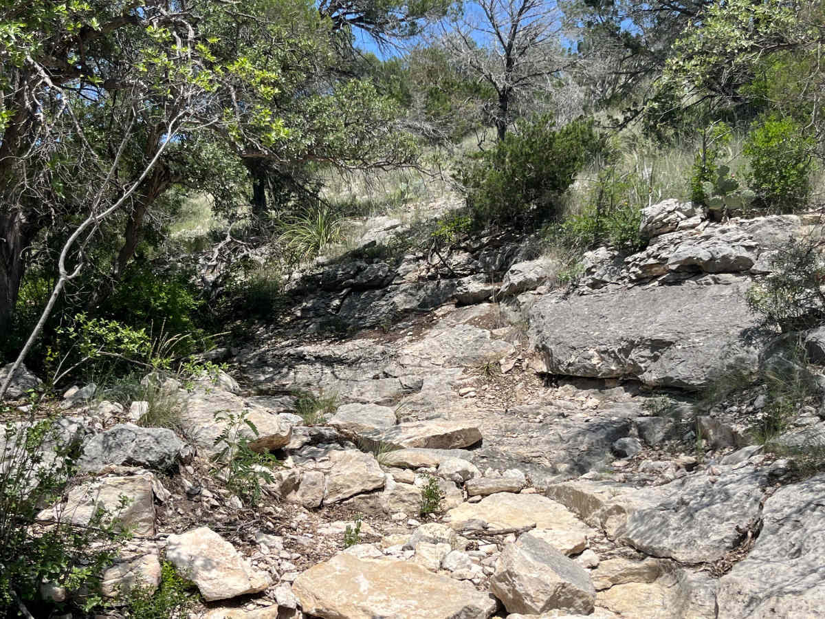 Artie's Revenge - V11 photo 4