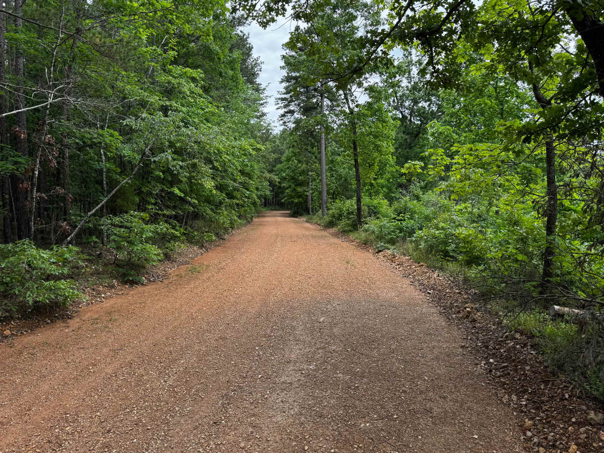 Lawrence road photo 2