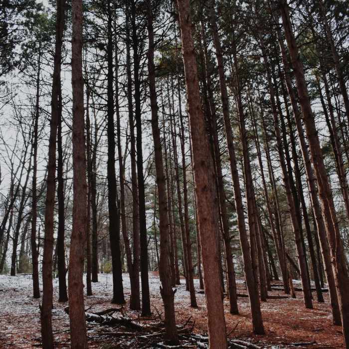 Near Provin Loop Hike