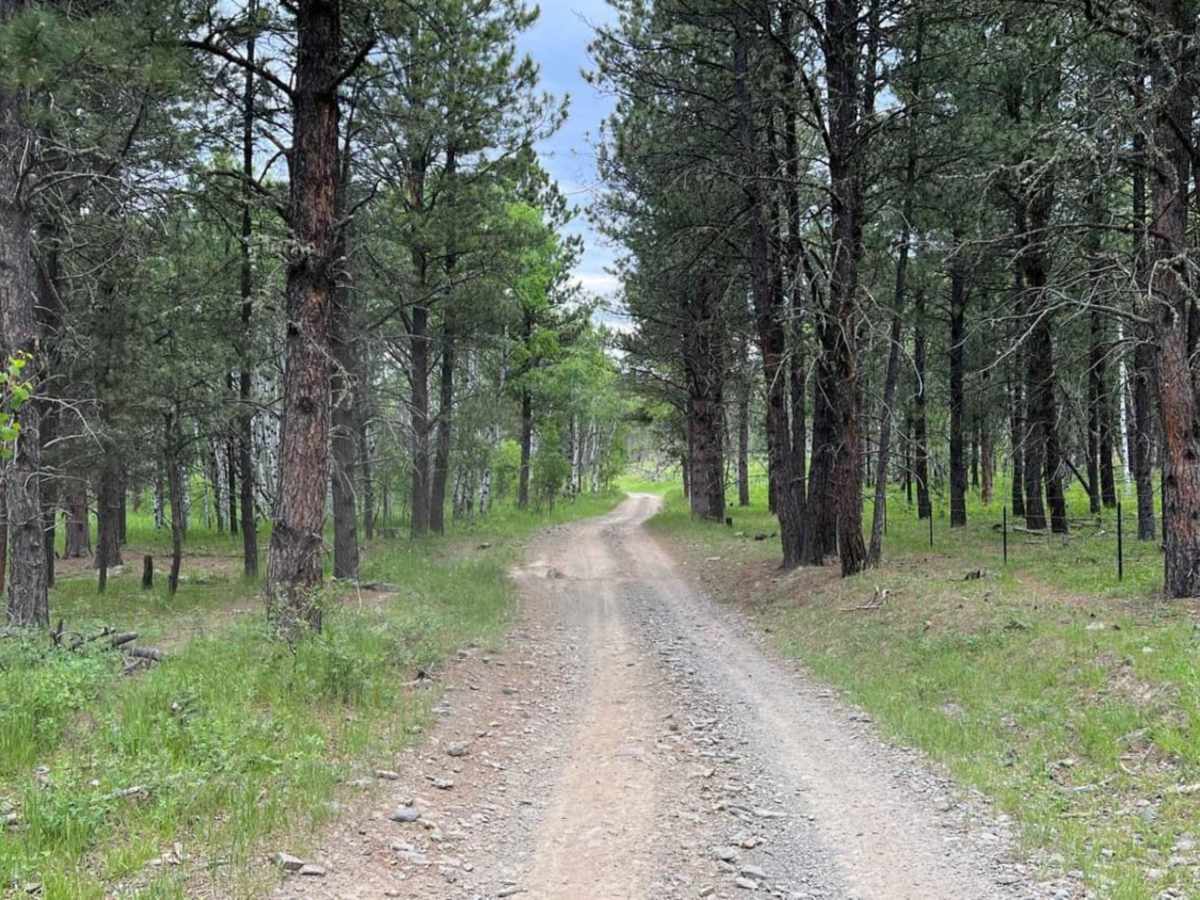 China Gulch - FSR #249 photo 4