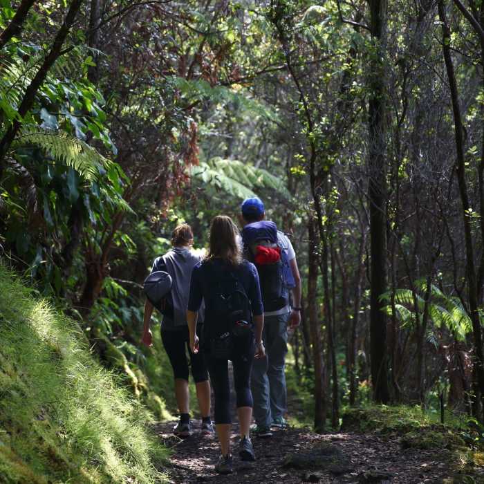 Near Kileauea Iki Trail