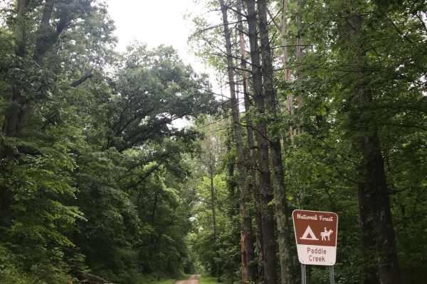 Paddle Creek 