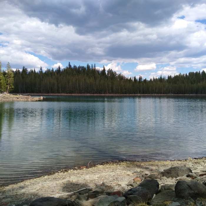 Near Triangle Lake-Caribou Trail