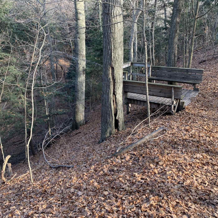 Deck overlooking a ravine. Near Water Tower - Lagoon - Mount Baldhead - Oval Beach