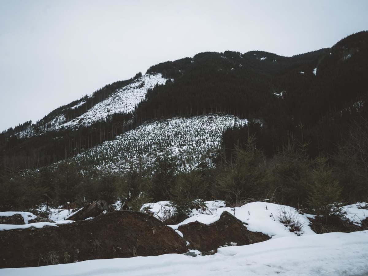 North Fork Road photo 5