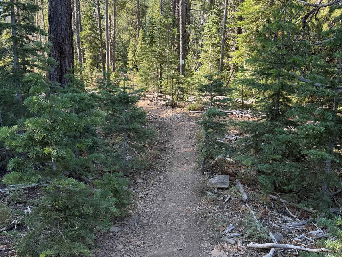 Sawtooth-Bell Moto Connector trail photo