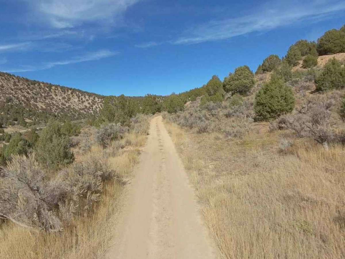 Starvation WMA Poleline photo 6