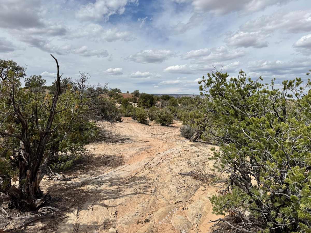 Pack Saddle Flats photo 6