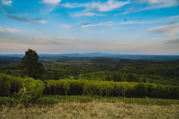 Boundary Gulch