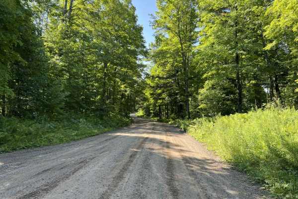 Morgan Lake Road - FS 2161