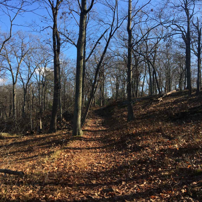 Near Dater Mountain Loop
