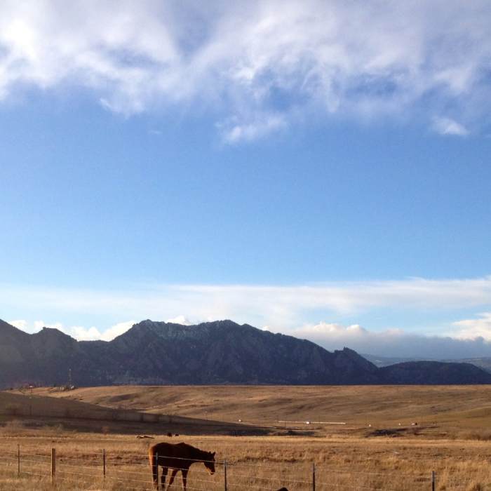 Near Mayhoffer Singletree