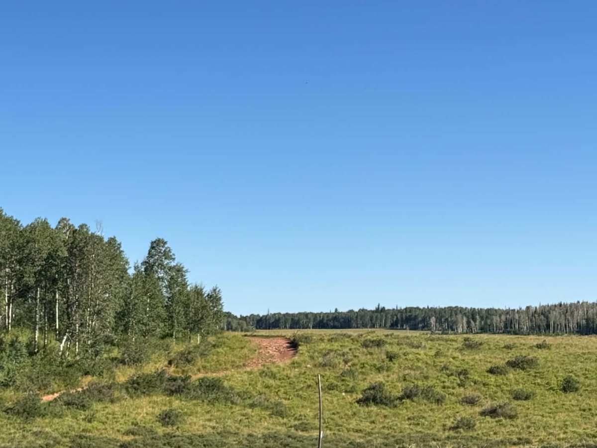 Four Mile trail photo
