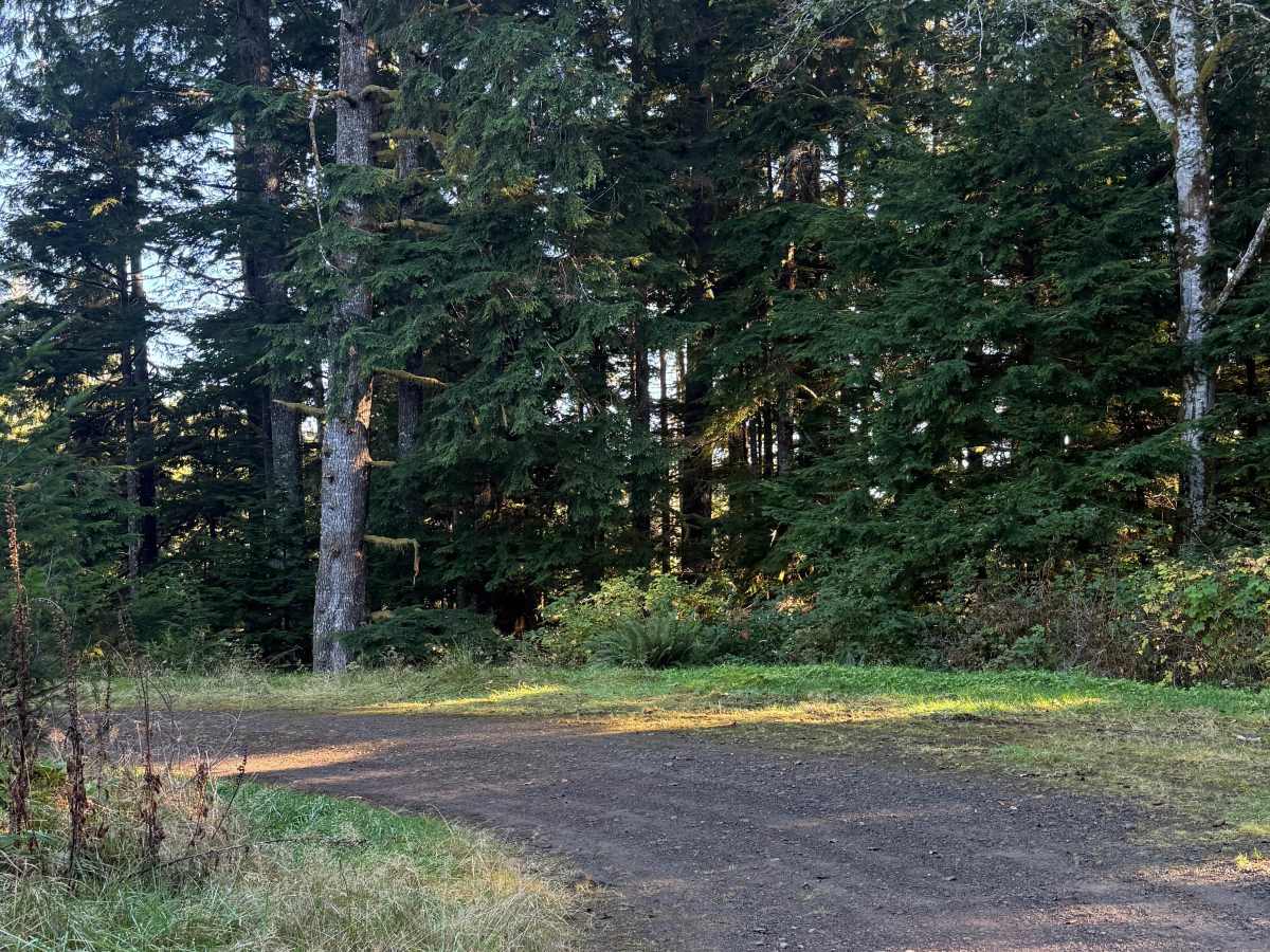 FRF 1010 trail photo