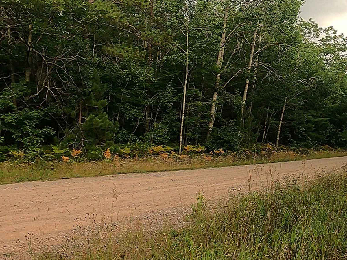 Waishkey River Truck Trail/Road - FS 3352 photo 2