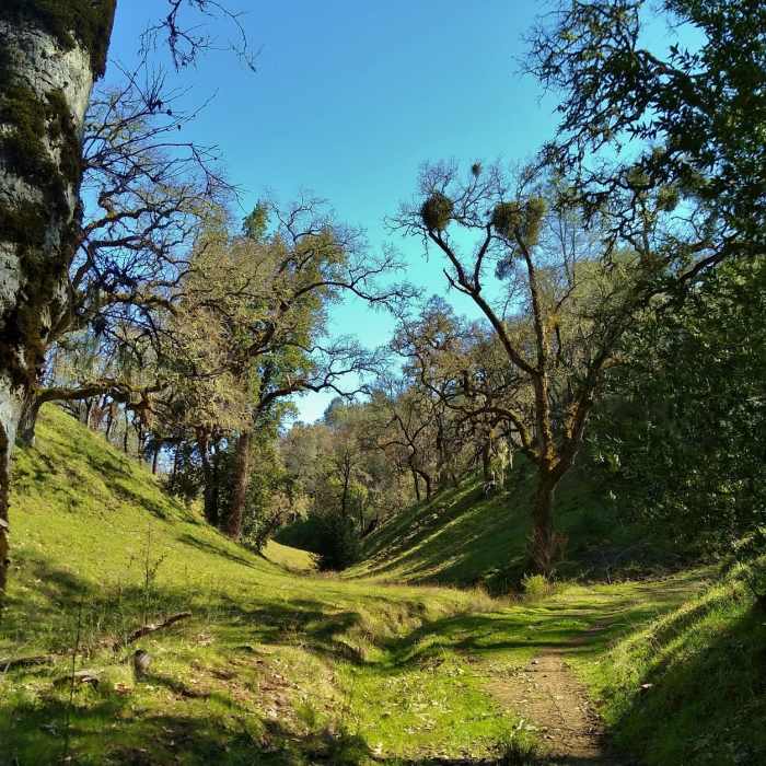 A small creek in its thinly wooded creek valley, is to the left of Foothill Trail here. Near Foothill Trail