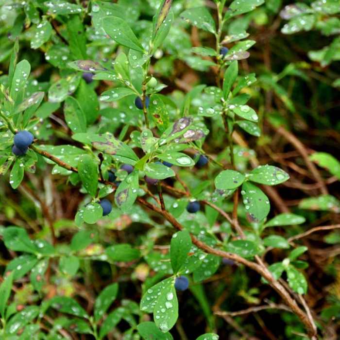 Near Dock Butte Hike
