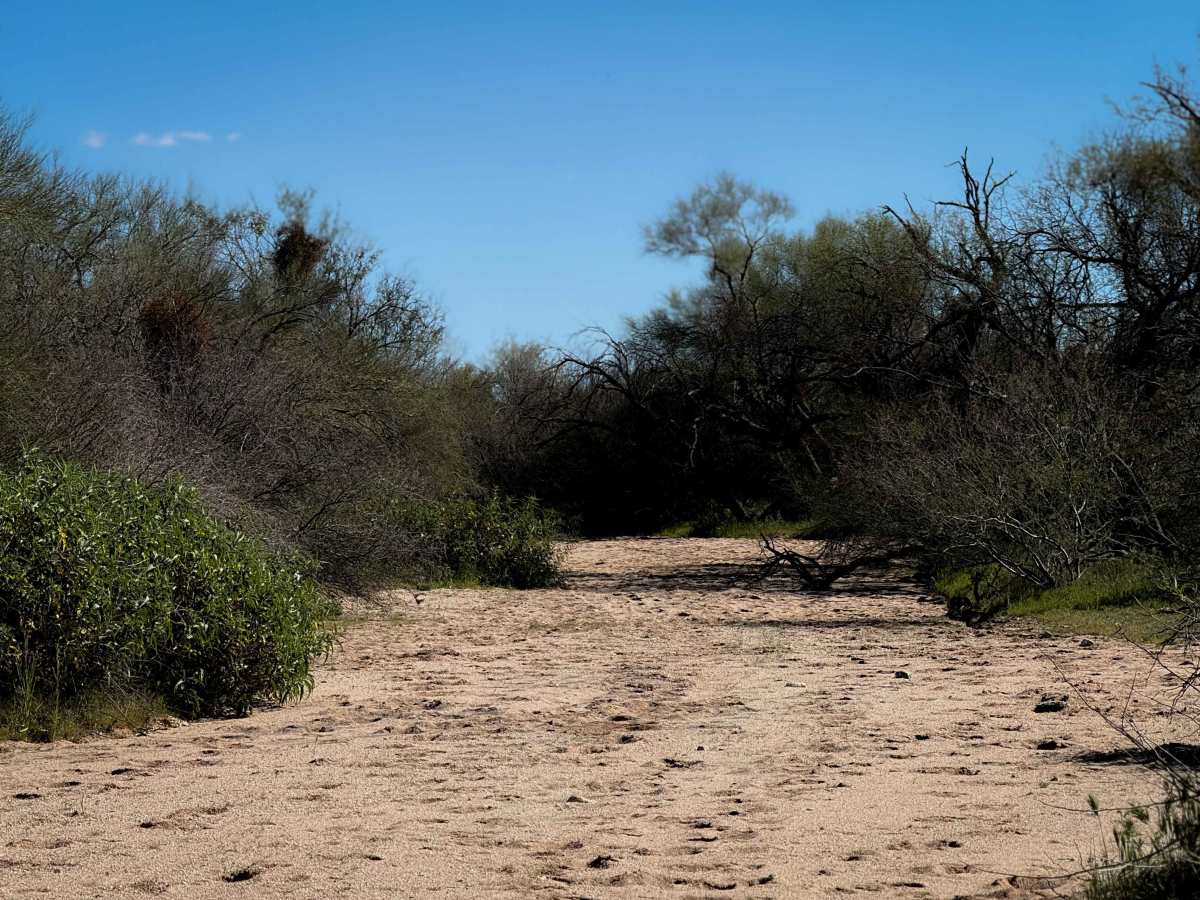 Bogard Wash  photo 4