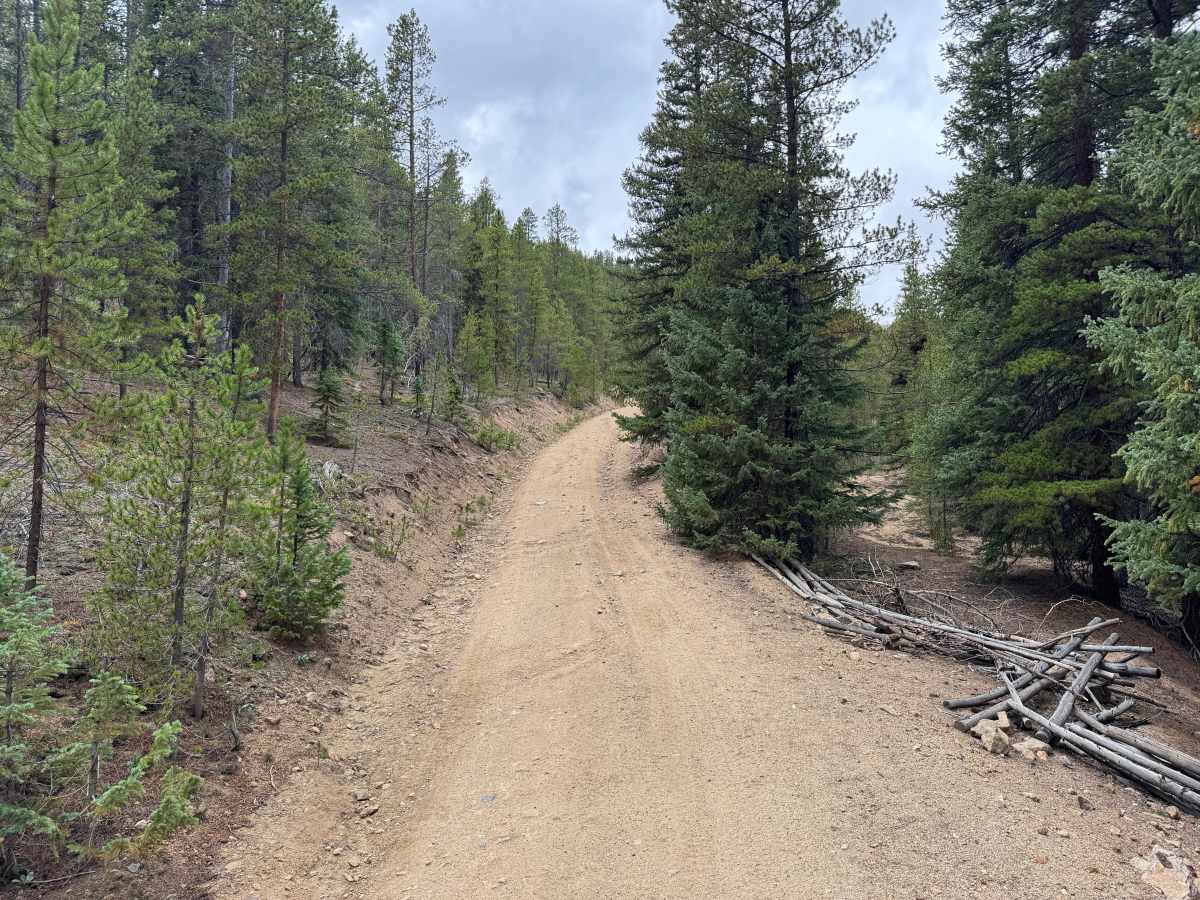 Kevin Gulch Road photo 5