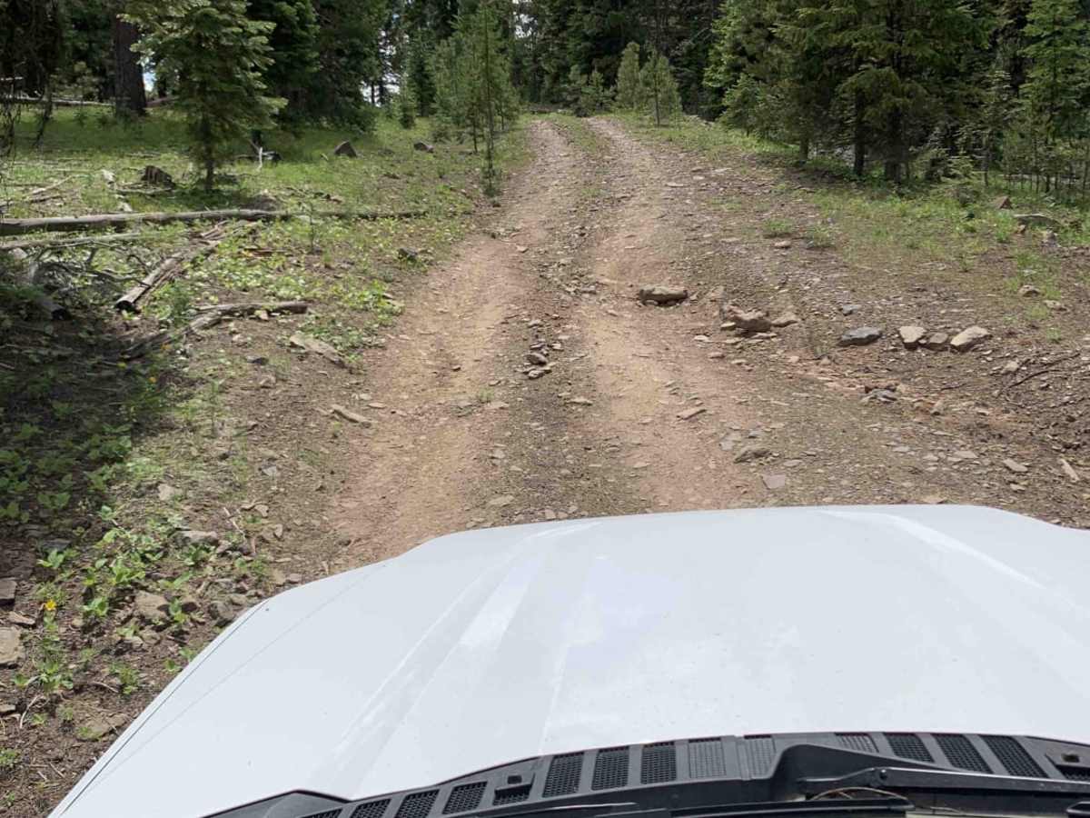 Malheur Ford photo 4