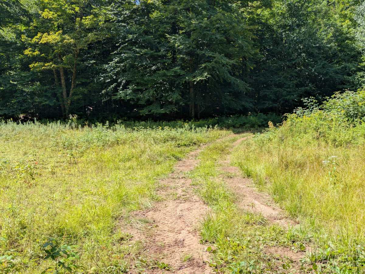 Grass River Trail Alternate photo 4