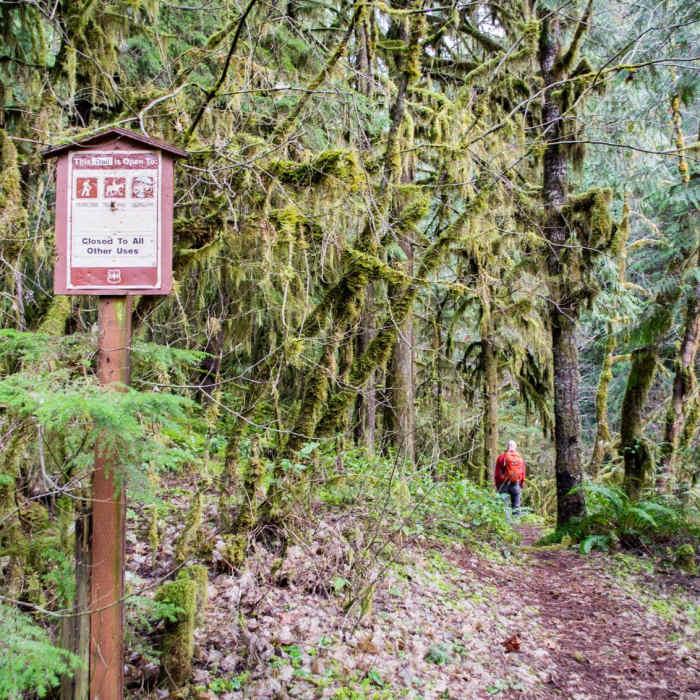 Near Joe's Peak Trail