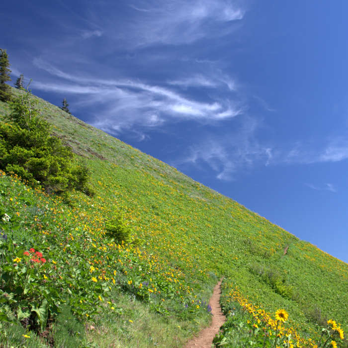 Augspurger Ramp Dog-Augspurger Tie Trail | Hiking Trail Maps, Difficulty, Trail Status ...
