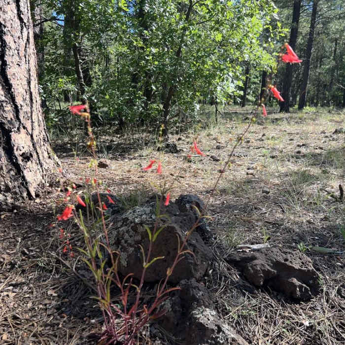 Near Woodland Outerloop Near Woodland Outerloop