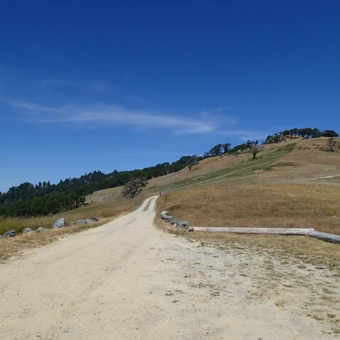 Near Lyons Ranch Trail