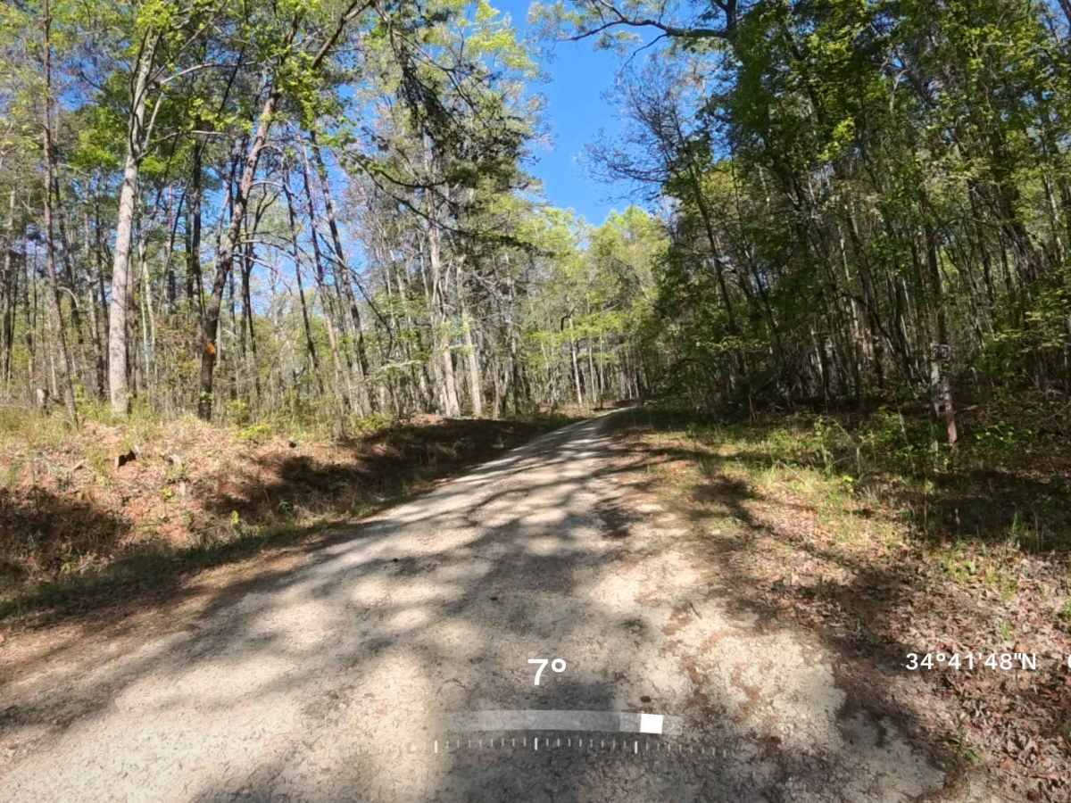 Forest Road 752B trail photo