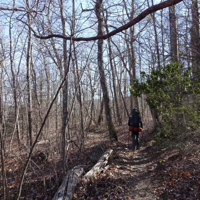 Near Standing Indian (Nantahala Headwaters) Loop Near Standing Indian (Nantahala Headwaters) Loop
